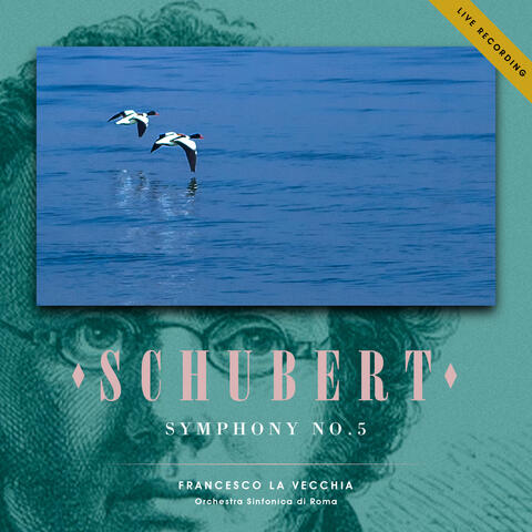 Schubert: Symphony No.5