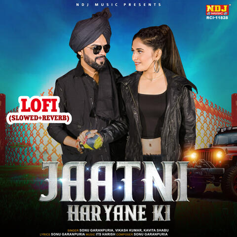 Jaatni Haryane Ki LOFI (Slowed + Reverb)