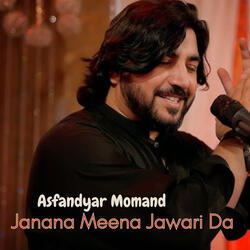 Janana Meena Jawari Da