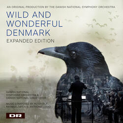 Zwicki: The Cold Landscape