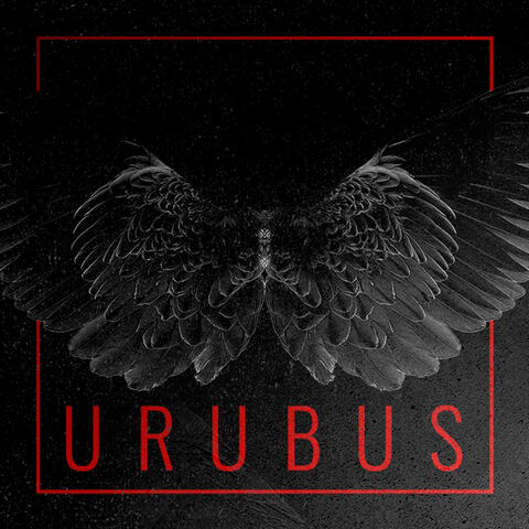 Urubus