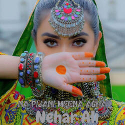 Na Pijani Meena Agha