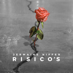 Risico's