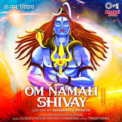 Om Namah Shivay (Lofi Mix)