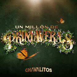 Un Millón De Primaveras