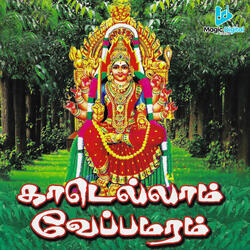 Thaerari Varaalae