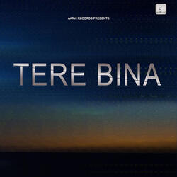 Tere Bina
