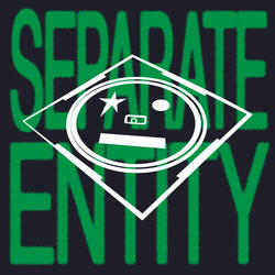 Separate Entity