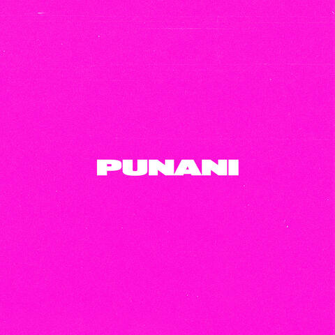 Punani