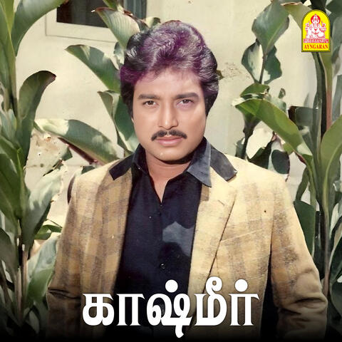 Kashmir (Original Motion Picture Soundtrack)