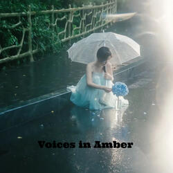 Voices in Amber
