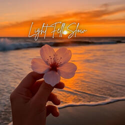 Light Fell Slow