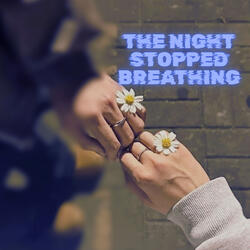 The Night Stopped Breathing