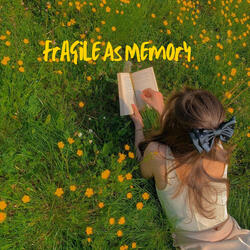Fragile As Memory