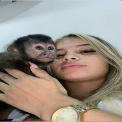 LA LA LA X EM MENOS DE 10 SEGUNDOS