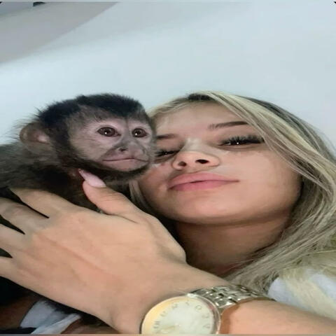 LA LA LA X EM MENOS DE 10 SEGUNDOS