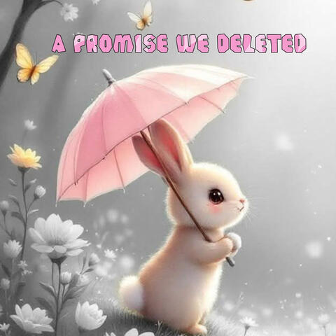 A Promise We Deleted