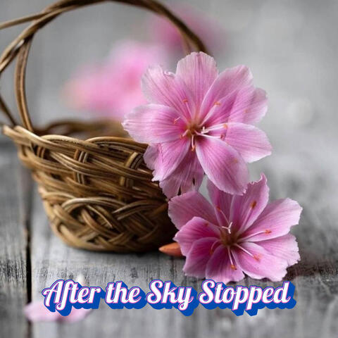 After the Sky Stopped