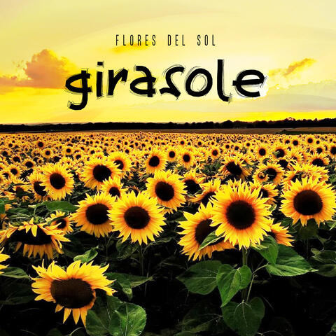 Girasole
