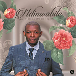 Ndonwabile (feat. iZion)