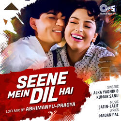 Seene Mein Dil Hai (Lofi Mix)