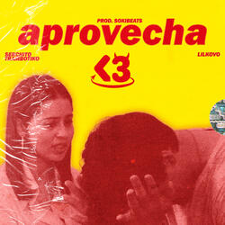 aprovecha<3 (feat. Lilkovo, Soki Beats)