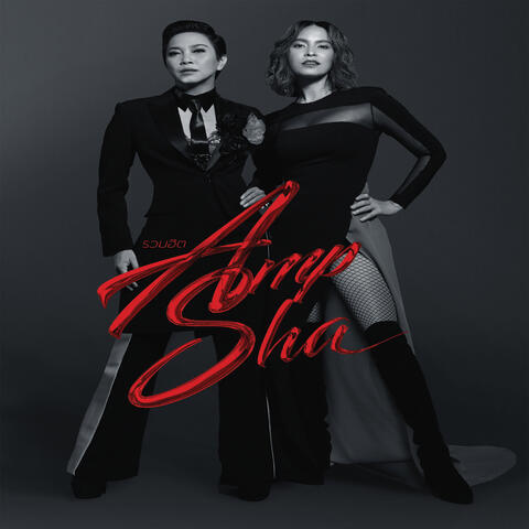 รวมฮิต AMP - SHA