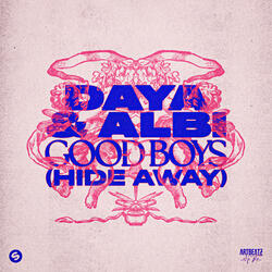 Good Boys (Hide Away)
