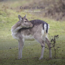 Cradle of hope