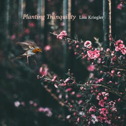 Planting Tranquility