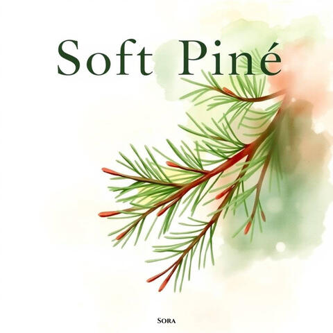 Soft Pine