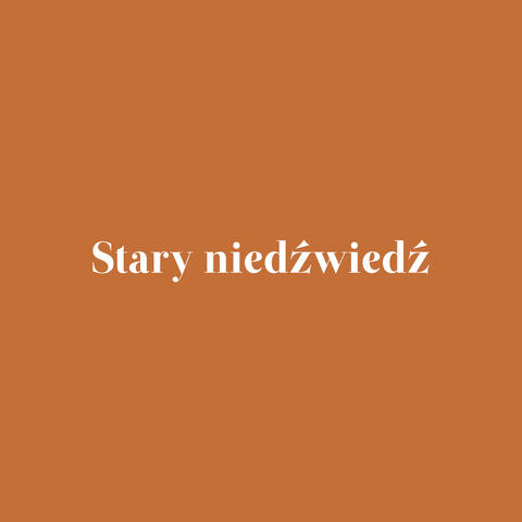 Stary niedźwiedź