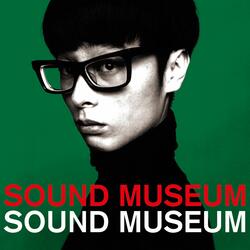 THE SOUND MUSEUM