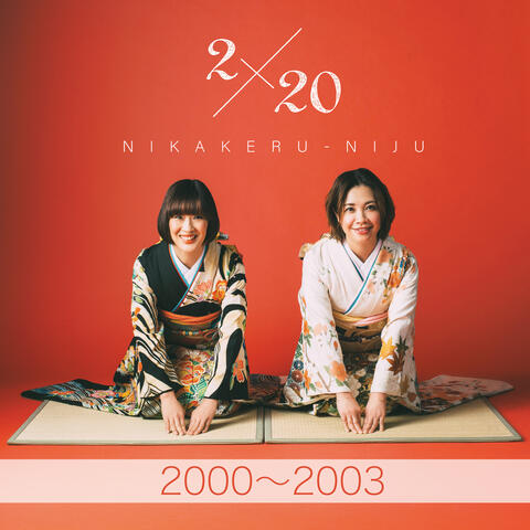 2×20