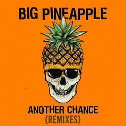 Another Chance