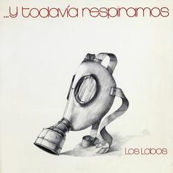Escuchando a Cat Stevens