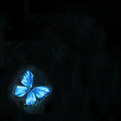 butterfly
