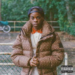 AGAIN (feat. Bankrol Hayden)