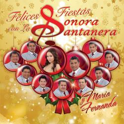 Las Fiestas de Diciembre