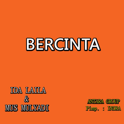 Bercinta