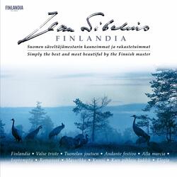Sibelius: Symphony No. 2 in D Major, Op. 43: IV. Finale. Allegro moderato