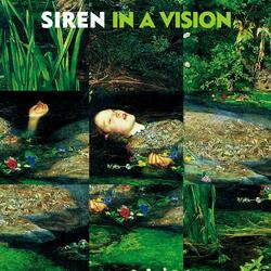In a Vision