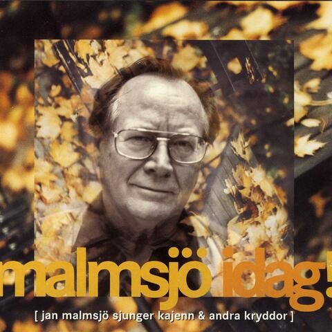 Malmsjö Idag!