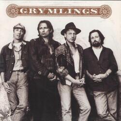 Om jag inte får bli din