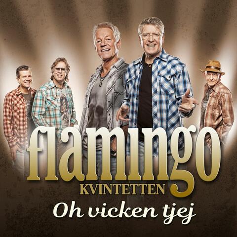 Oh vicken tjej