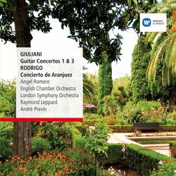 Giuliani: Guitar Concerto No. 1 in A Major, Op. 30: I. Allegro maestoso