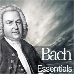 Bach, JS: Orchestral Suite No. 3 in D Major, BWV 1068: II. Air