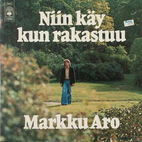 Niin käy kun rakastuu