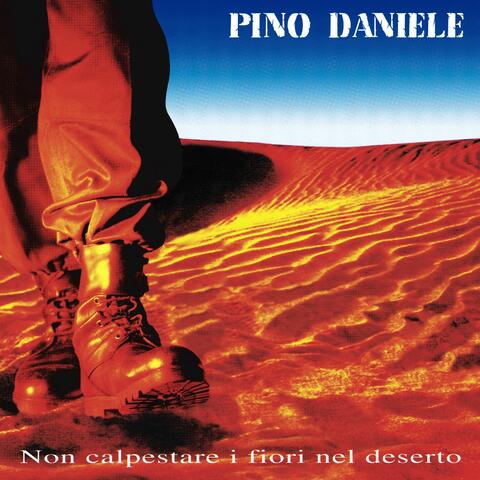 Irene Grandi & Pino Daniele