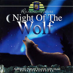 Adagio to a Black Wolf